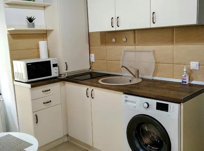 Historic Center Apartament *